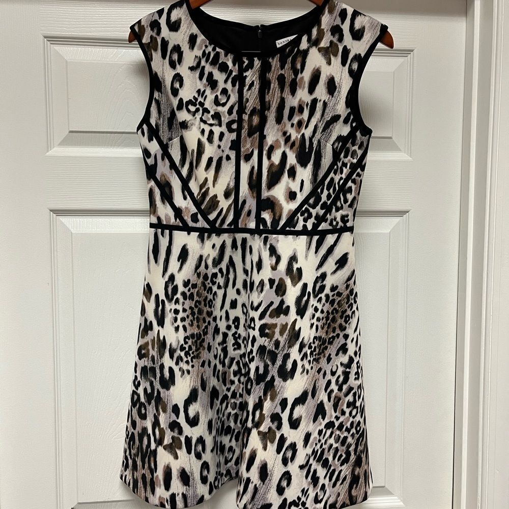 Sandra Darren Cream Black Tan Animal Print Scuba Dress sz 8P EUC